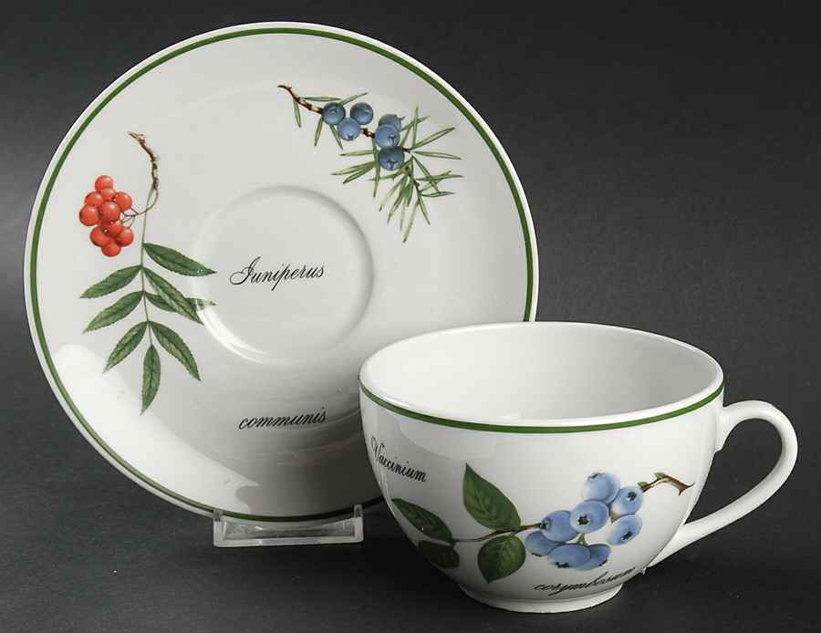 Elysian Gardens Breakfast Cup & Saucer Set by Apilco-1