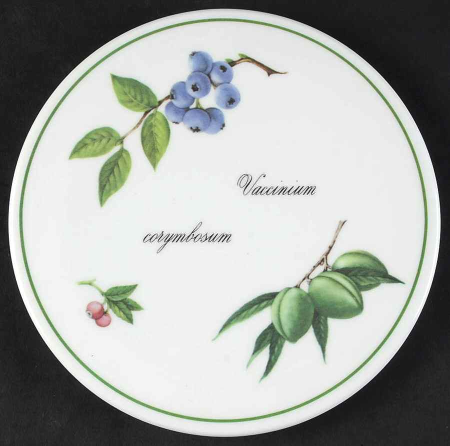 Elysian Gardens Melamine/Melmac Trivet by Apilco-1
