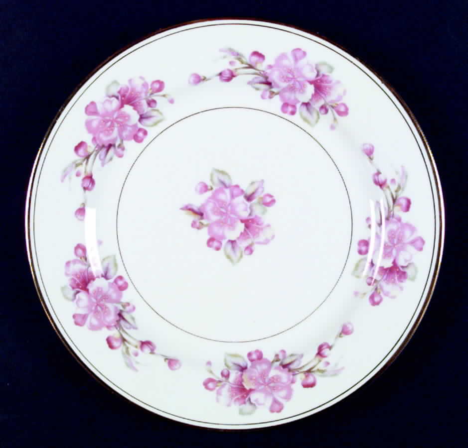 Rosemont Dinner Plate by Aladdin-1