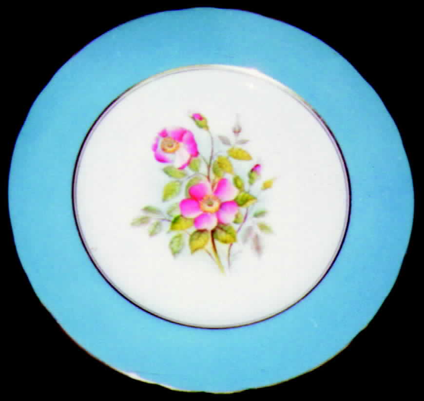 Wild Rose Dinner Plate by John  Aynsley & Sons-1