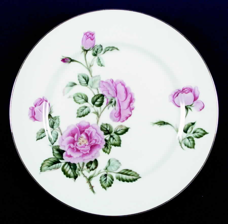 AIC14 Dinner Plate by Aichi-1
