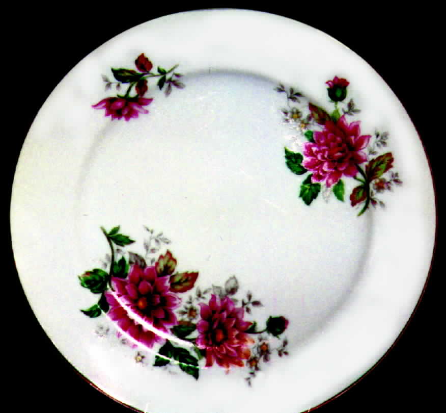AIC16 Dinner Plate by Aichi-1