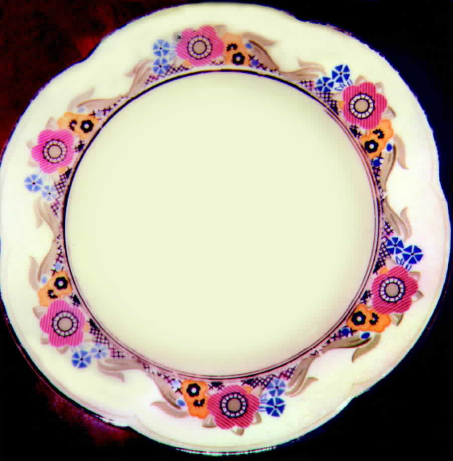 ACW2 Dinner Plate by American Chinaware-1