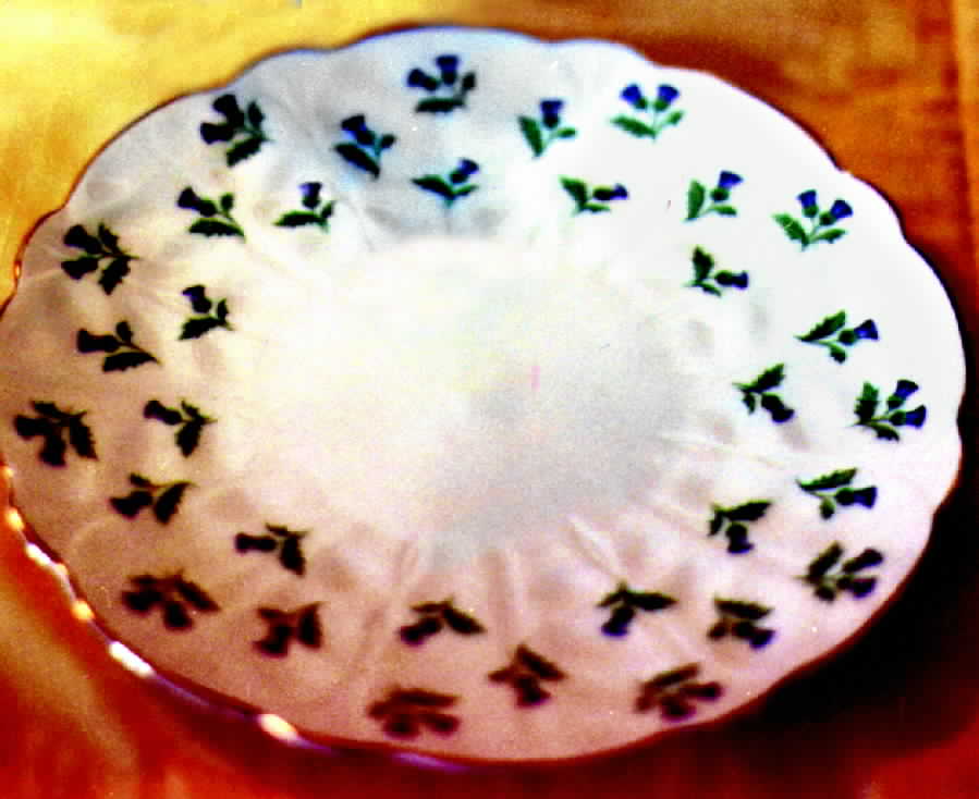 AYN33 Salad Plate by John  Aynsley & Sons-1