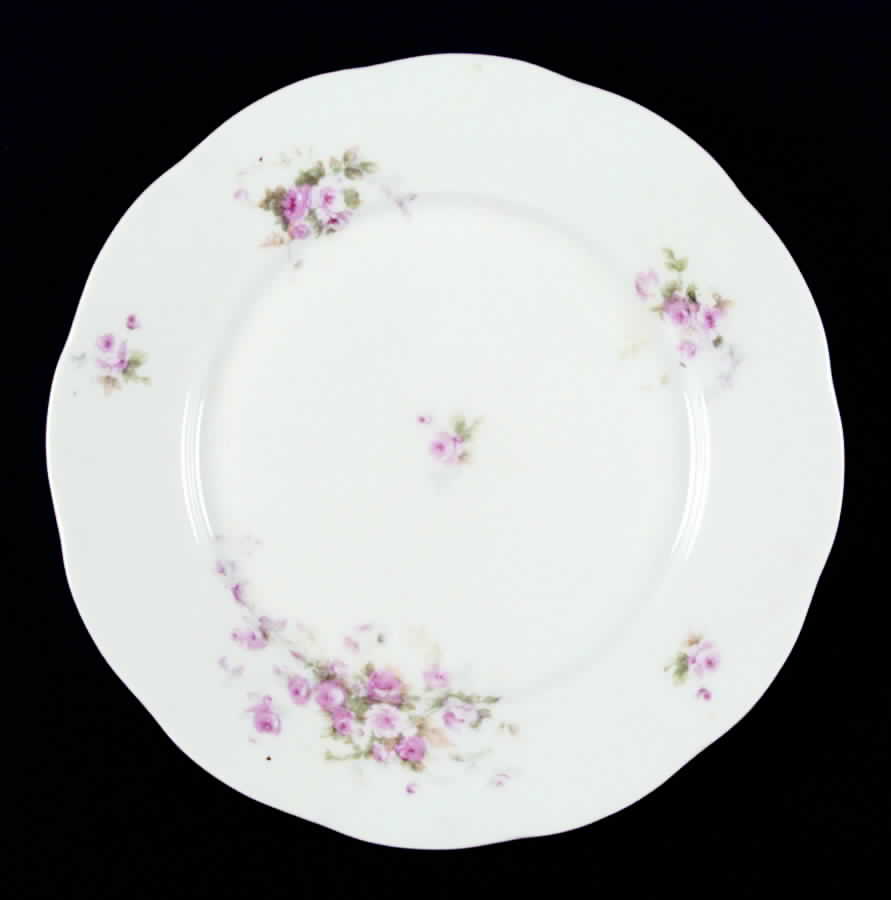 VTO8 Salad Plate by Victoria (Austria)-1