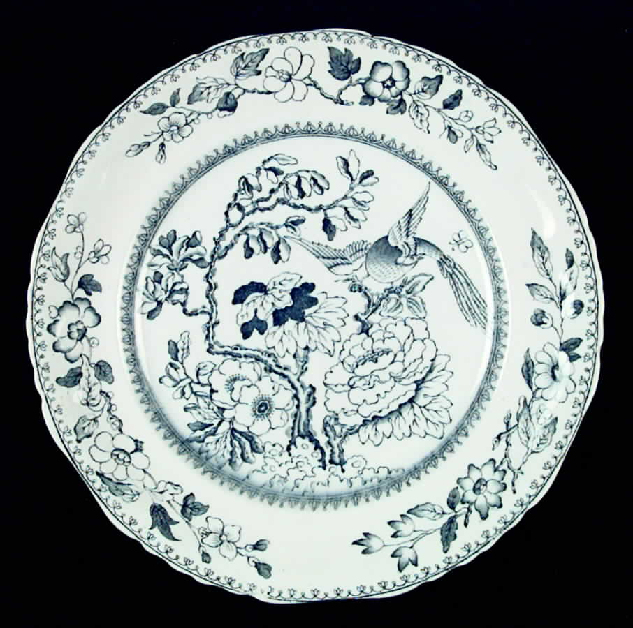 1232 Dinner Plate by Ashworth Bros-1