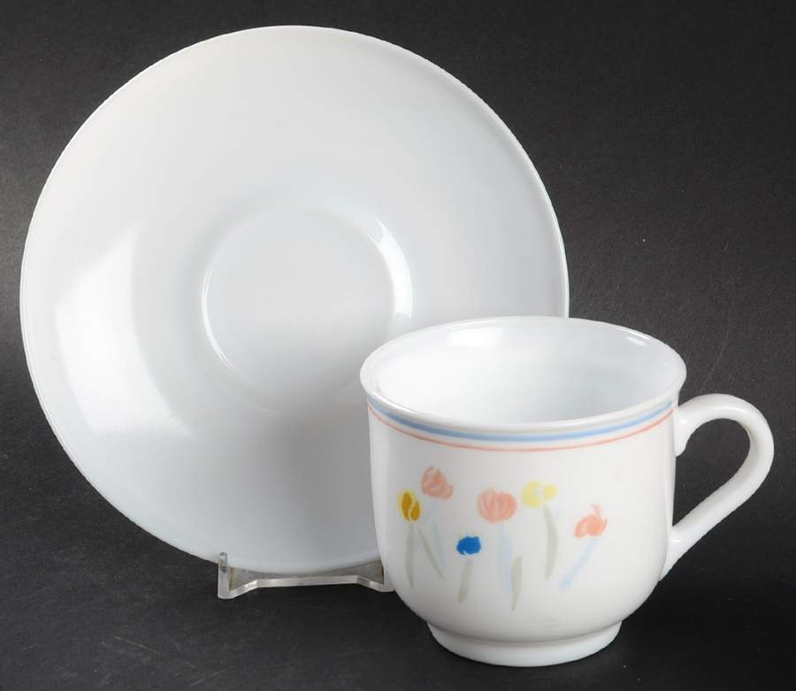 Pastoral Flat Cup & Saucer Set by Arcopal-1