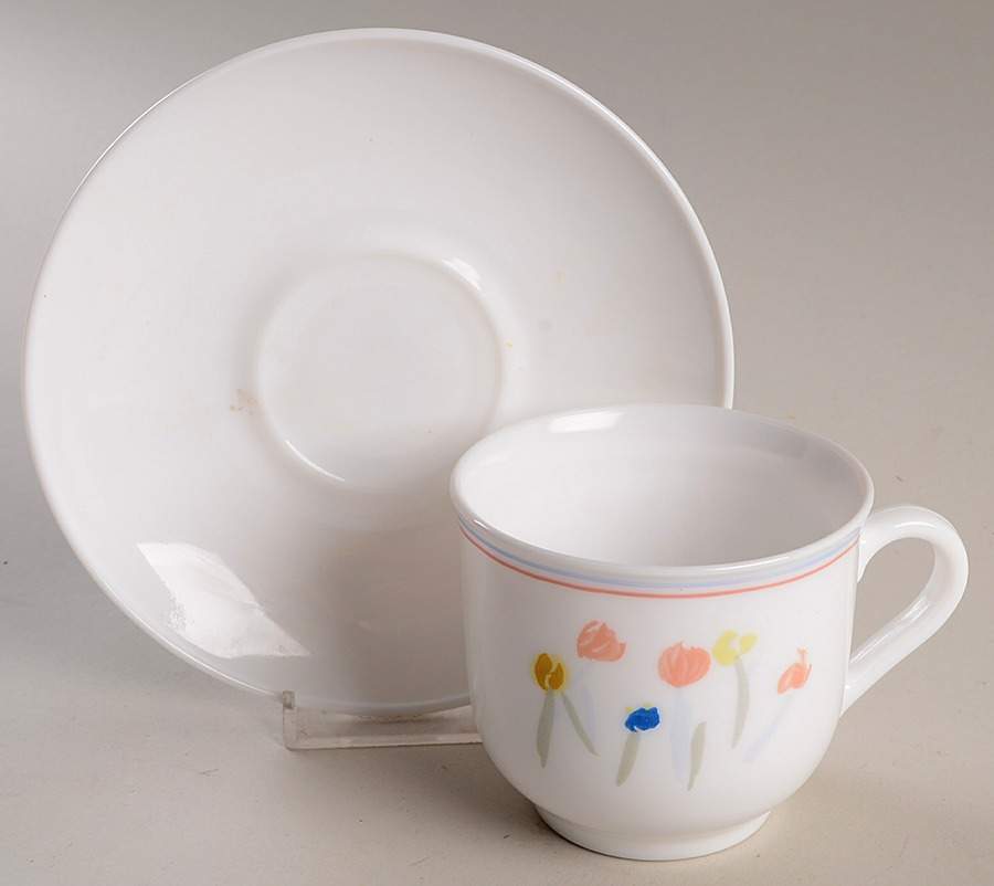 Pastoral Flat Cup & Saucer Set by Arcopal-1