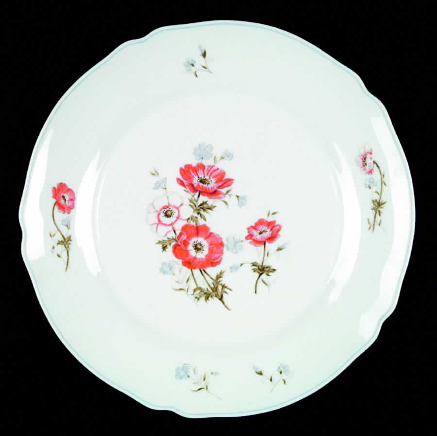 Paradise Dinner Plate by Arcopal-1