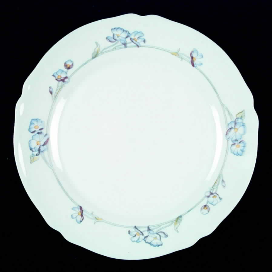 Revelation Dinner Plate by Arcopal-1