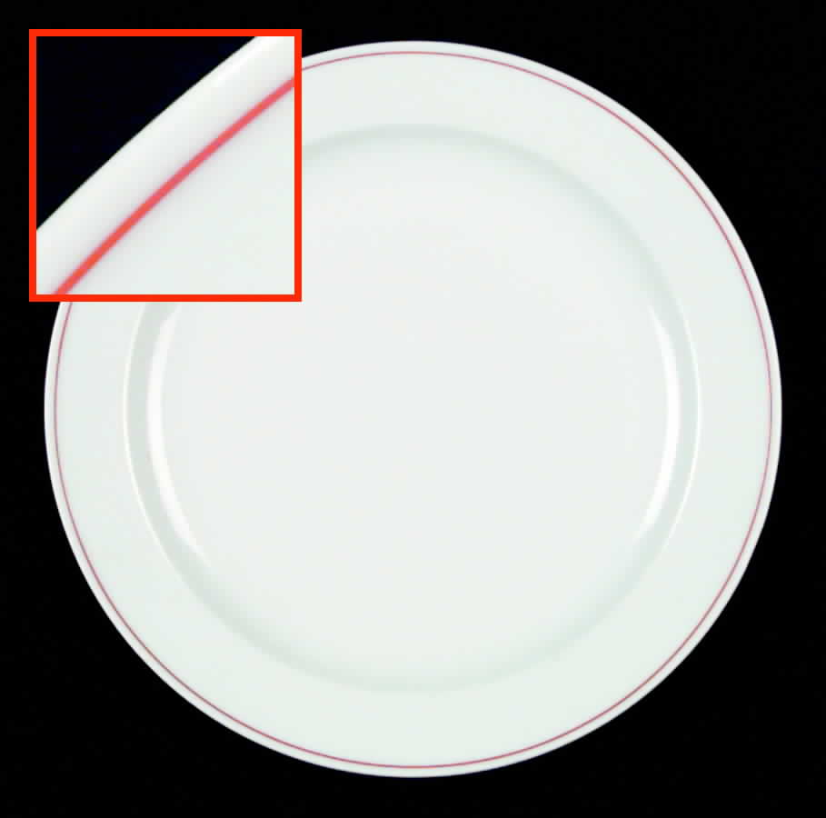 ARZ48 Dinner Plate by Arzberg-1