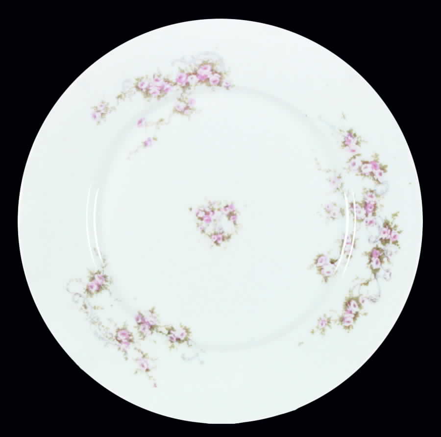 VTO64 Dinner Plate by Victoria (Austria)-1