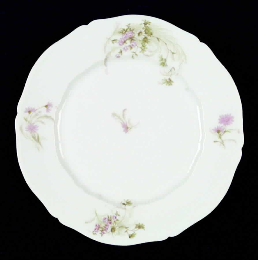 VNN47 Salad Plate by Vienna-1