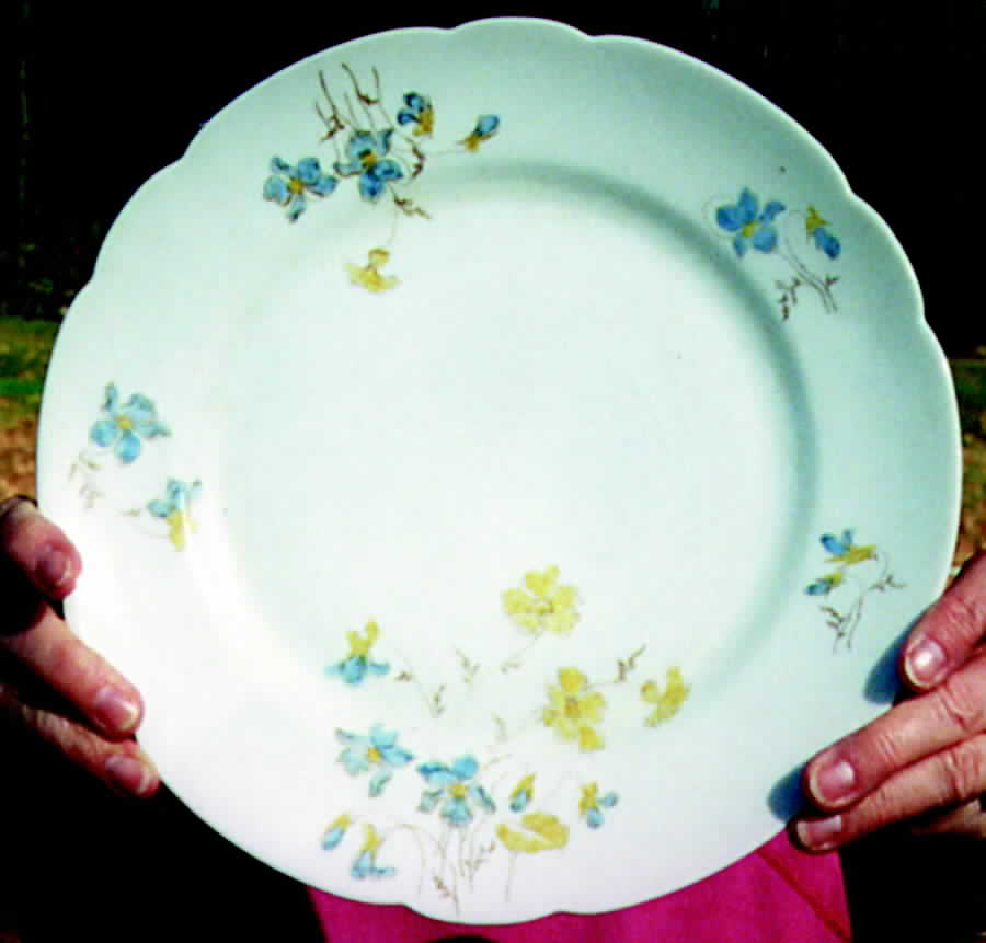 7755 Dinner Plate by Austria-1
