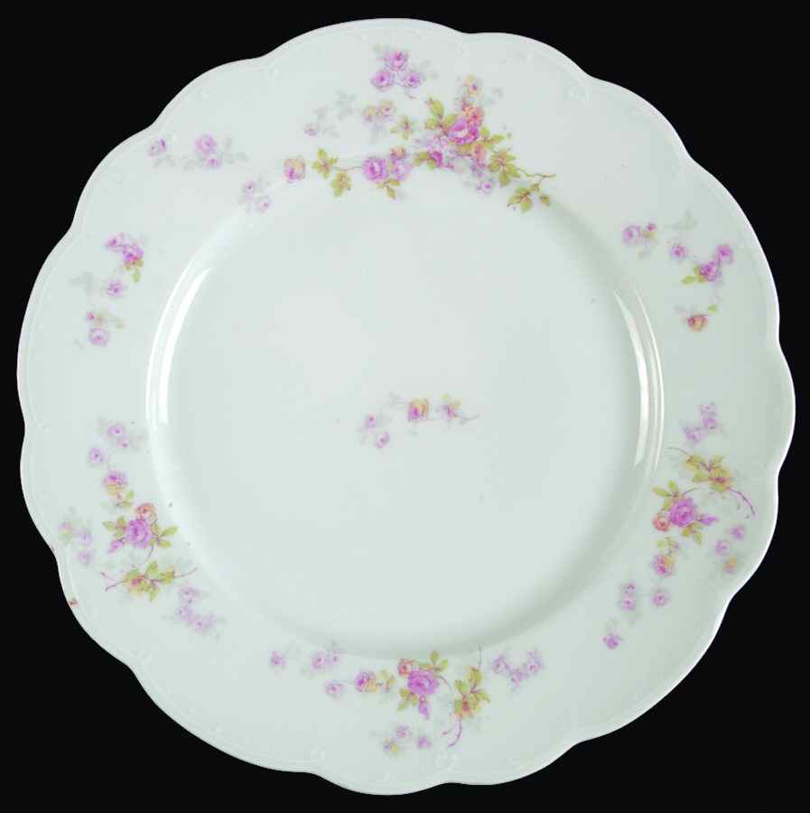 ALT132 Dinner Plate by Altrohlau-1