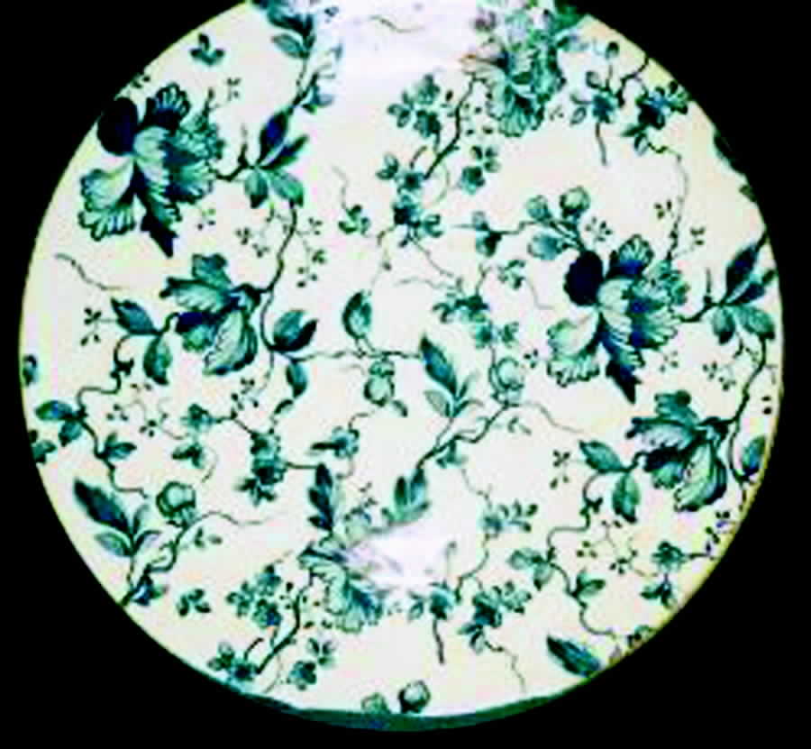 AL2 Dinner Plate by Alka-1
