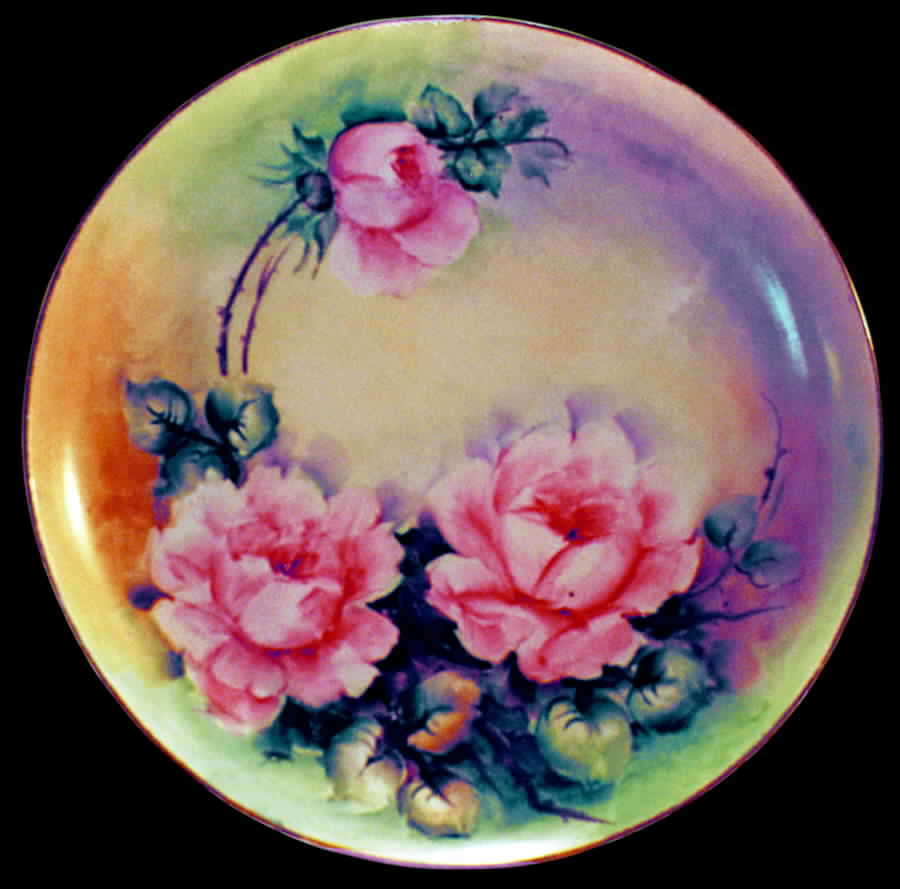 ALT135 Dinner Plate by Altrohlau-1