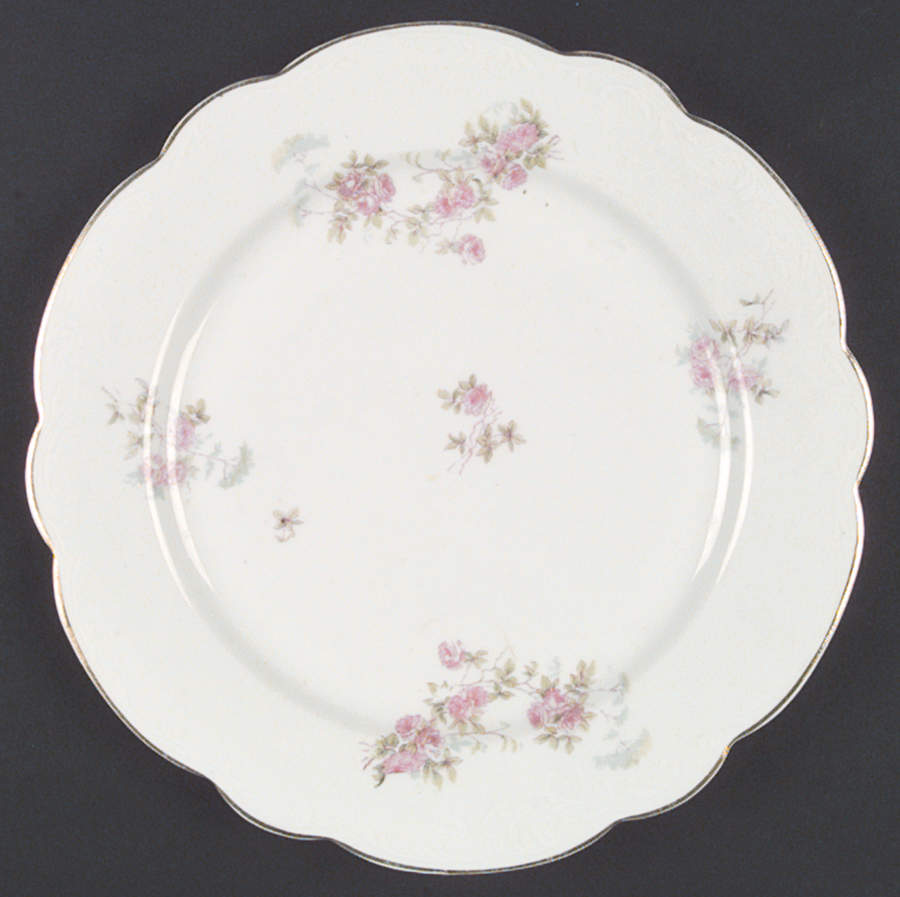 AUS122 Dinner Plate by Austria-1