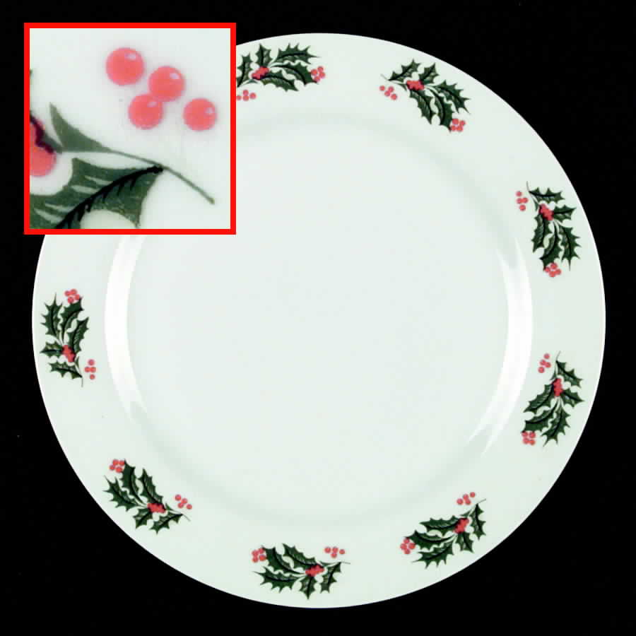 AOI3 Dinner Plate by Alco-1