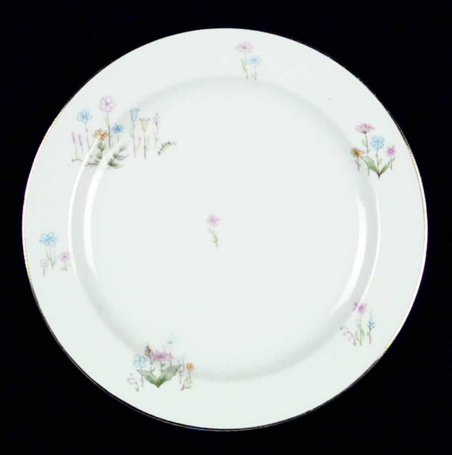 ARZ54 Salad Plate by Arzberg-1