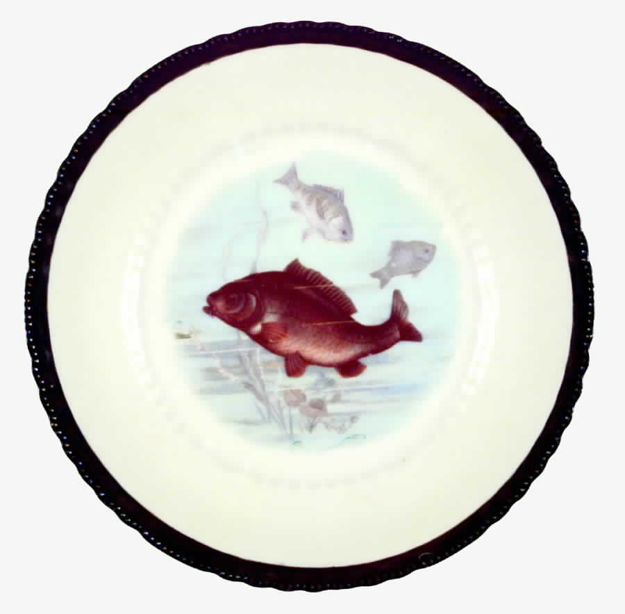 AUS126 Salad Plate by Austria-1
