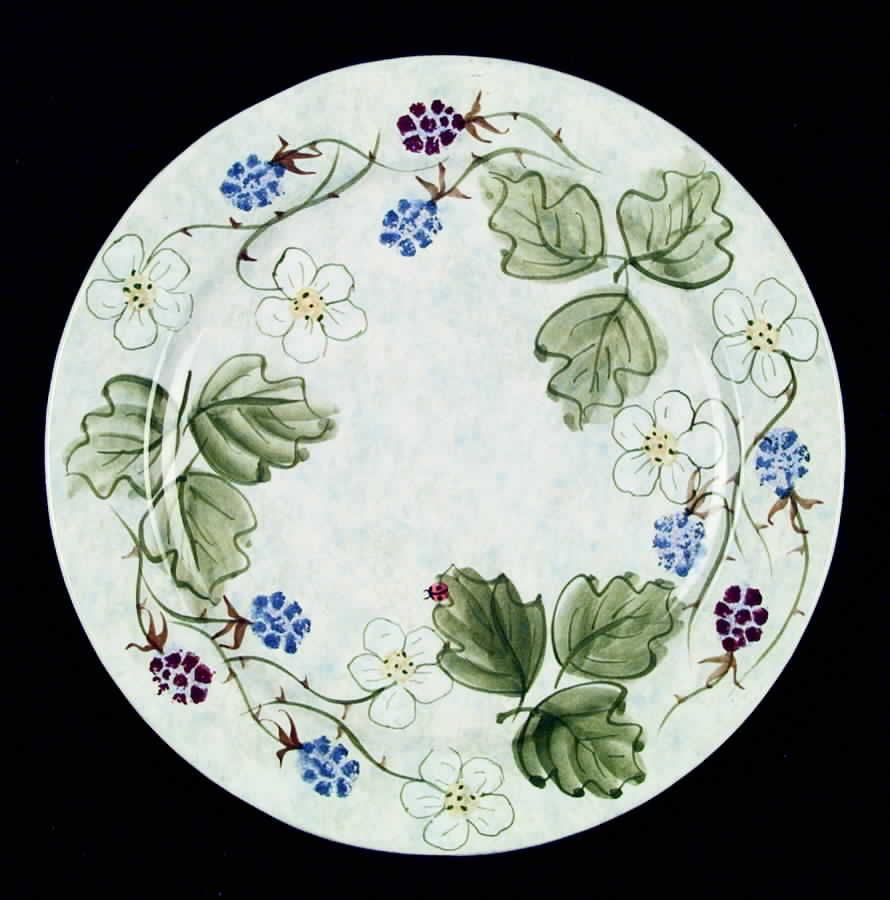 ASL2 Dinner Plate by Laura Ashley-1