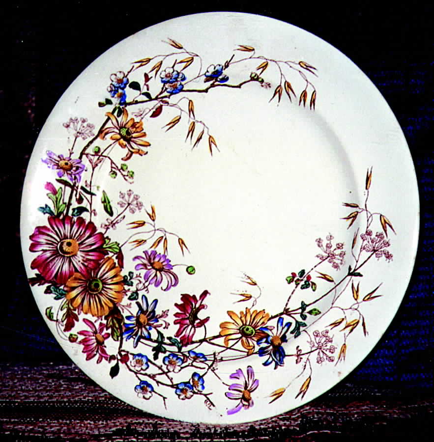 Royal Daisy Dinner Plate by Adderley-1