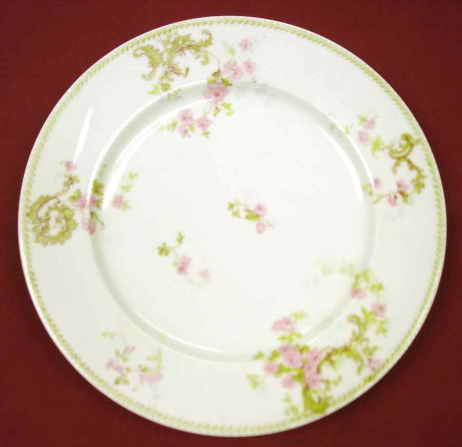 AUS131 Dinner Plate by Austria-1