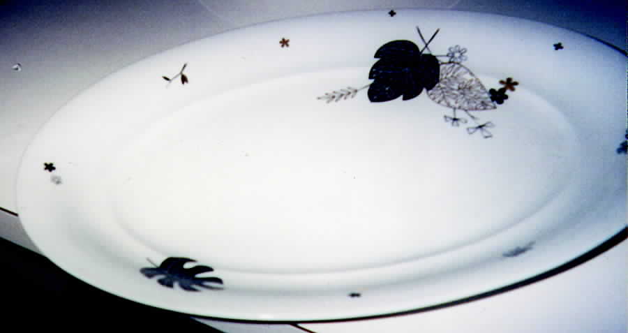 6549 Dinner Plate by Austria-1