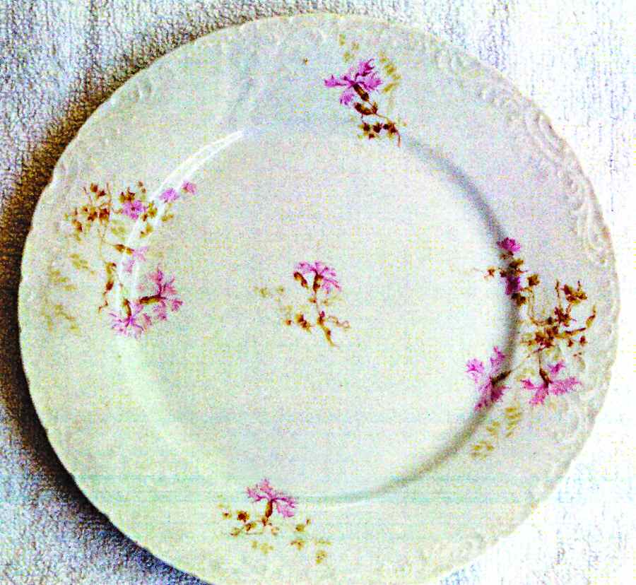 9951 Dinner Plate by Austria-1
