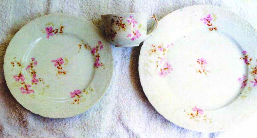 9951 Salad Plate by Austria-1