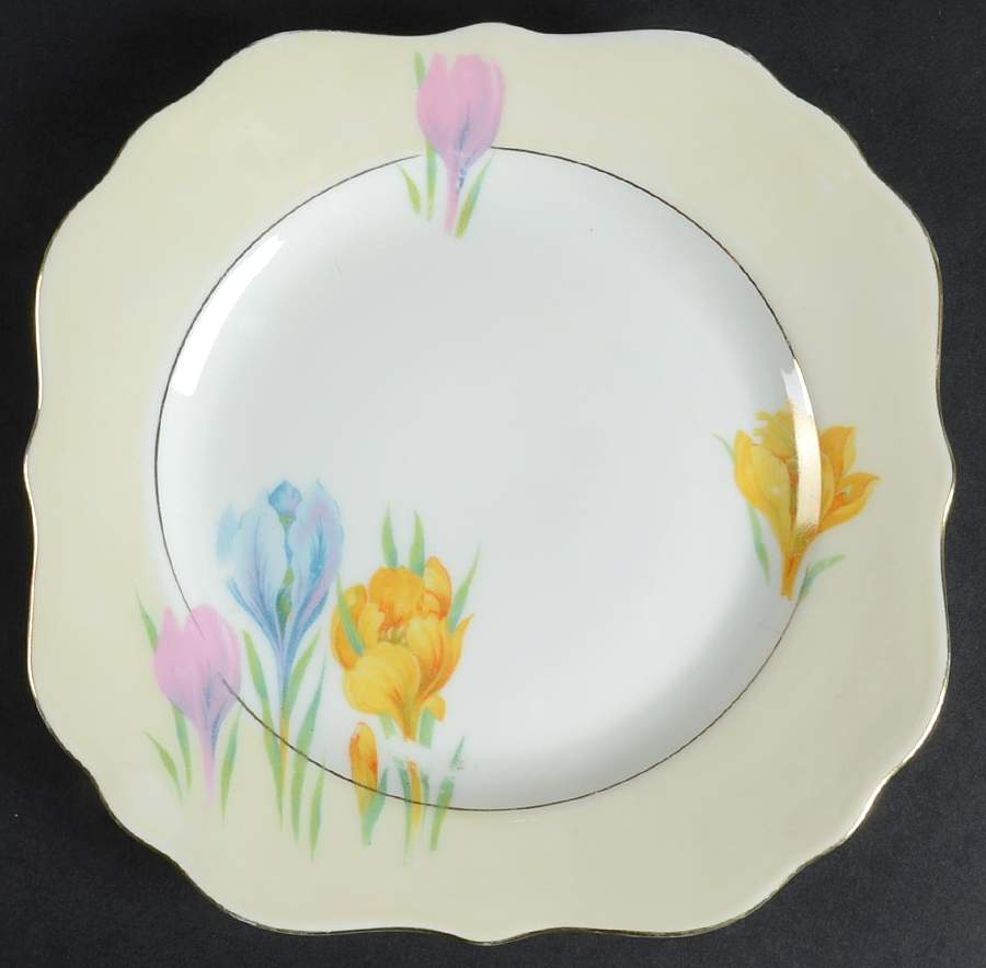 ACC5 Square Salad Plate by Amc China-Germany-1