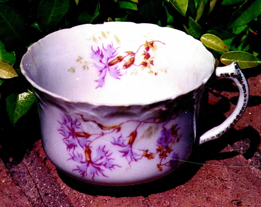 9950 Flat Cup by Austria-1