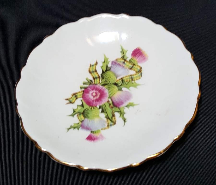 H1016 Saucer by Adderley-1