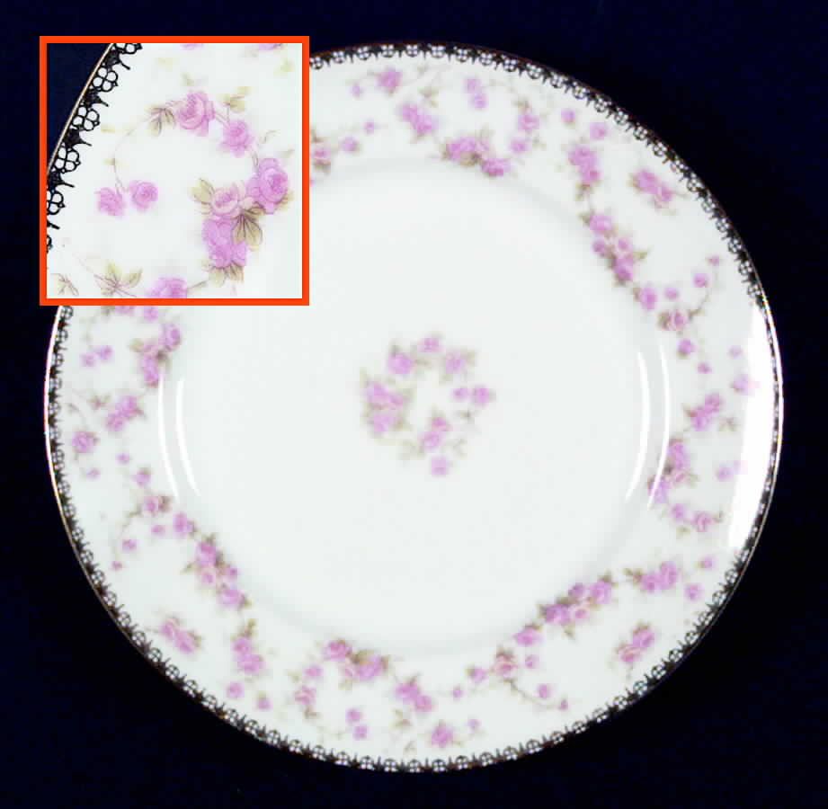 Bridal Rose (Smooth, Gold Edge) Salad Plate by Altrohlau-1