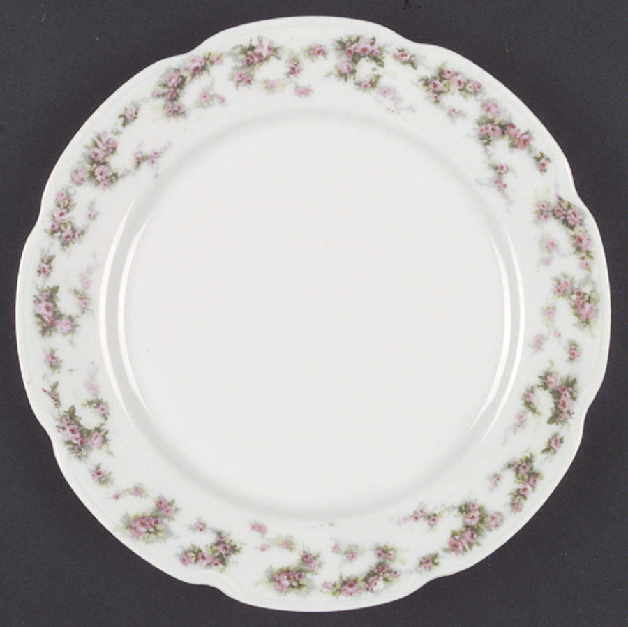 AUS135 Dinner Plate by Austria-1