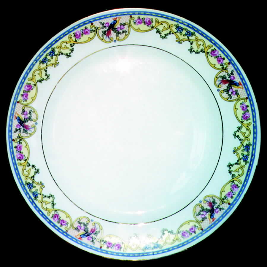 ALT155 Dinner Plate by Altrohlau-1