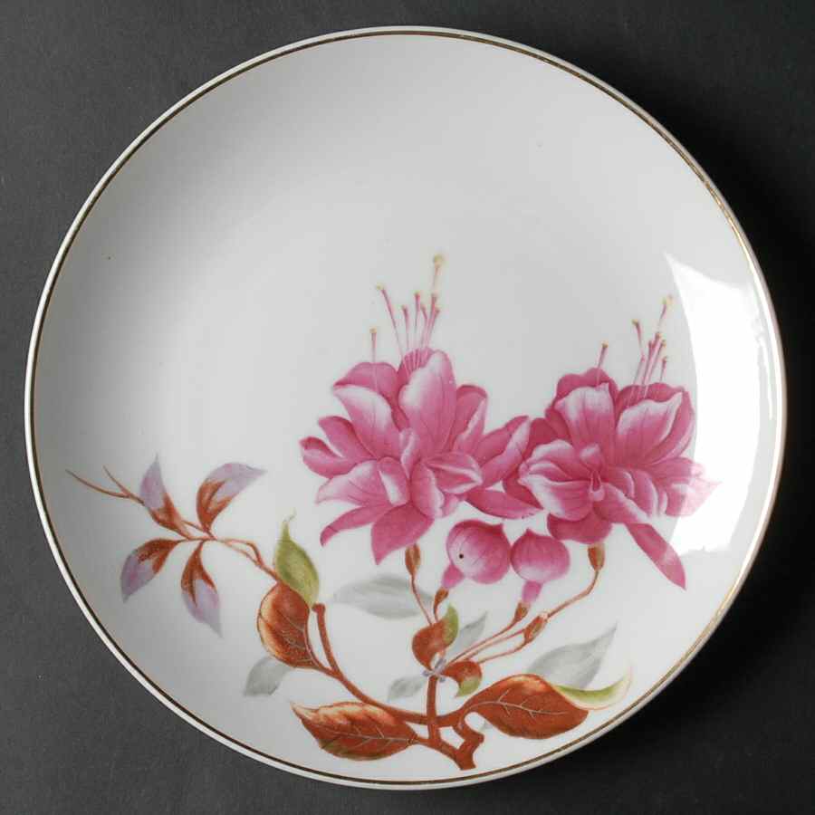ALA14 Dinner Plate by Aladdin-1