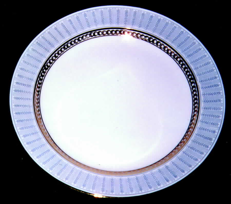 ARZ57 Salad Plate by Arzberg-1