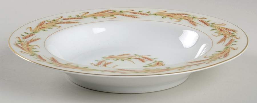 ALA15 Rim Soup Bowl by Aladdin-1