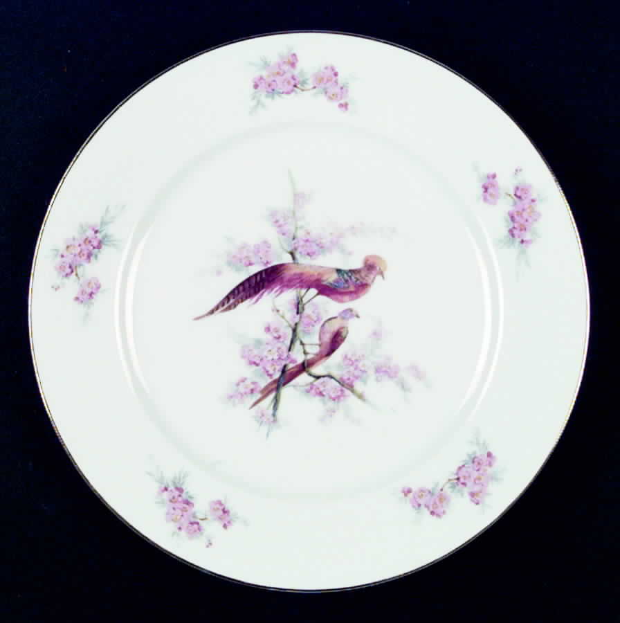 AIC18 Dinner Plate by Aichi-1