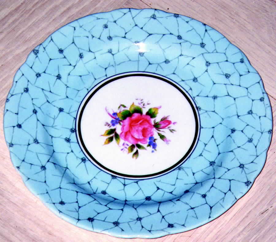 AYN45 Salad Plate by John  Aynsley & Sons-1