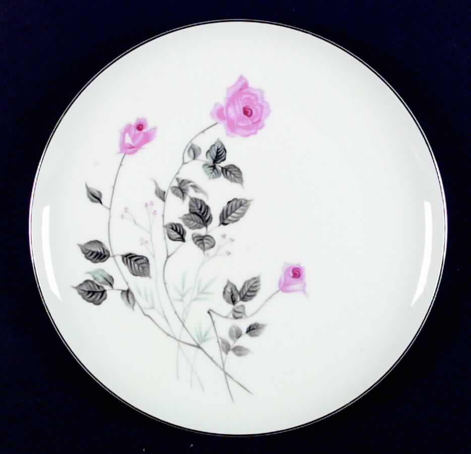 ART16 Dinner Plate by Arita-1