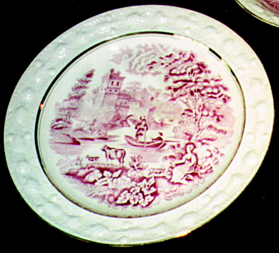 Italian Scenery Pink Dinner Plate by Adams China-1