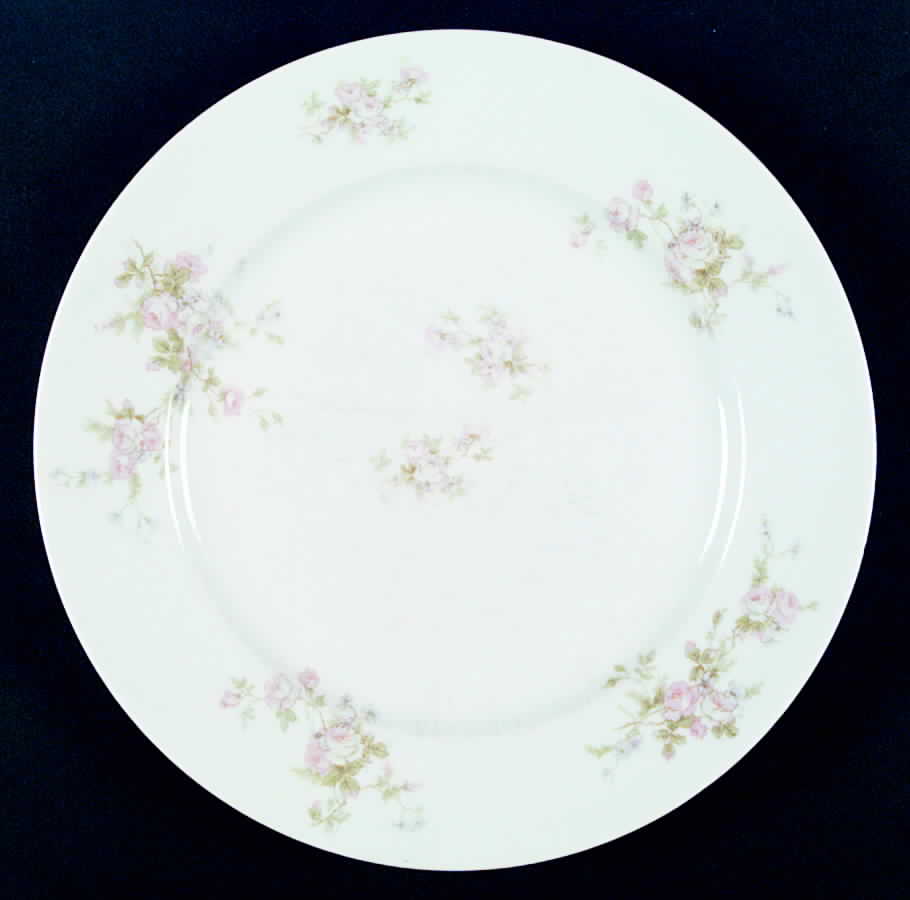 AUS146 Dinner Plate by Austria-1
