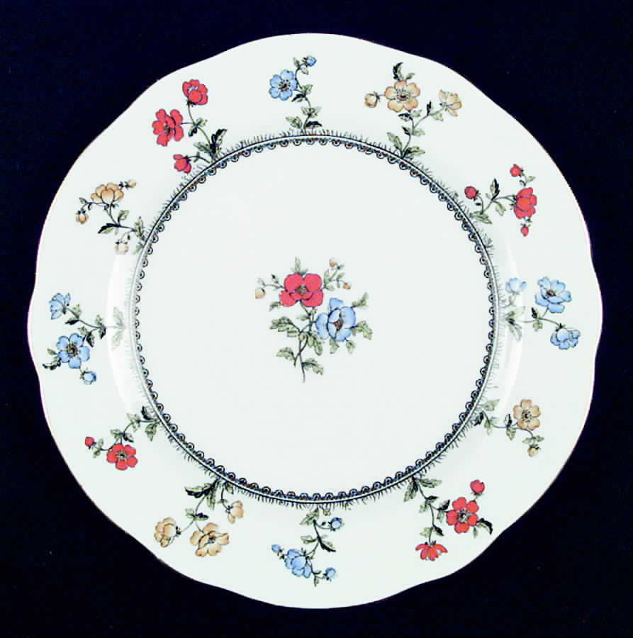 AYN48 Dinner Plate by John  Aynsley & Sons-1