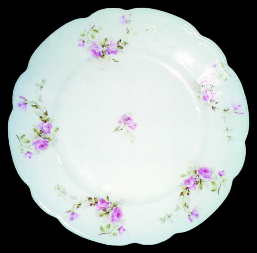 ALT165 Dinner Plate by Altrohlau-1