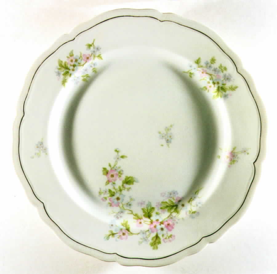 AUS156 Dinner Plate by Austria-1