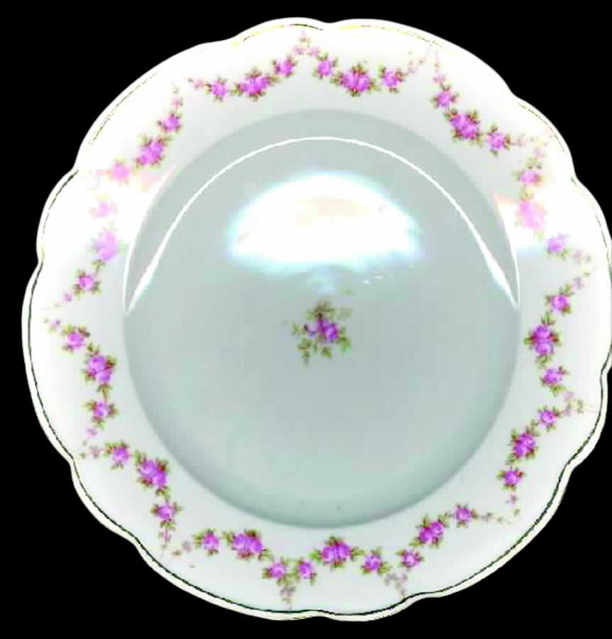 ALT167 Dinner Plate by Altrohlau-1