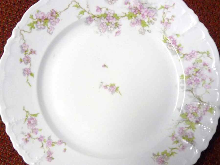 ALT170 Dinner Plate by Altrohlau-1